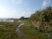 Murets littoraux : murs de soutènement et murs de clôture, Lanros ; Bonne Nouvelle ; Kerléo ; Kerhervé (Lanmodez)