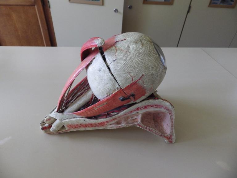 Collections pédagogiques du Lycée Auguste Brizeux, 6 Rue Bourg les Bourgs (Quimper)