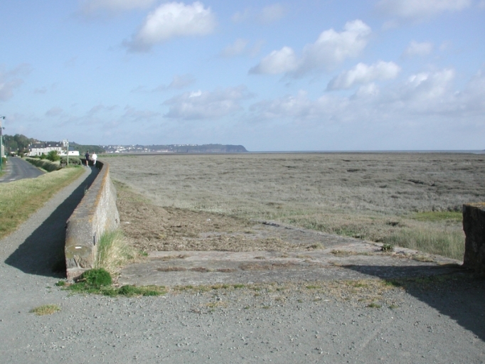 Cale, dite rampe de Bourienne, les Grèves (Langueux)