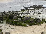 Allée couverte de Guinirvit, baie du Kernic (Plouescat)