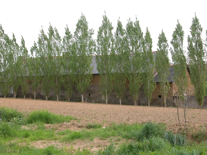 Ferme, le Bas Val (Pleugueneuc)