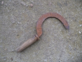 Outil de pêche à pied : faucille à goémon