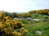 Poste d'observation dit Tobrouk (Pour mortier), Cougn ar Zac'h, Anse du Pouldu (Santec)