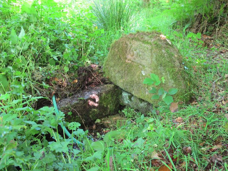 Fontaine Saint-Efflam (Langoëlan)