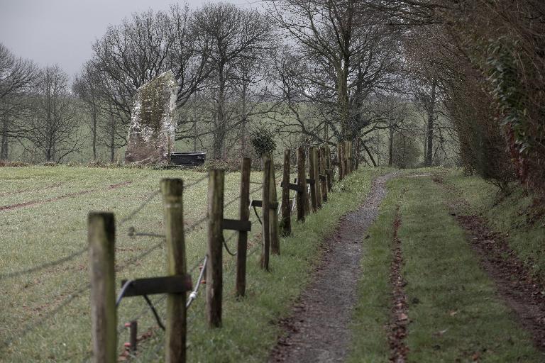 Menhir dit la Pierre d'en Haut, le Feu Lambert (Champeaux)