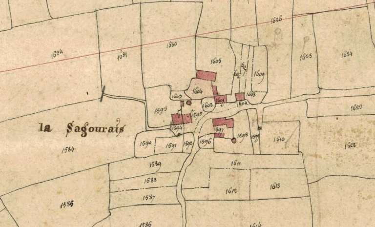 Ecart, la Sagourais (Eancé)