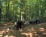 Les églises, chapelles et croix monumentales sur la commune de Tressé (fusionnée en Mesnil-Roc'h en 2019)