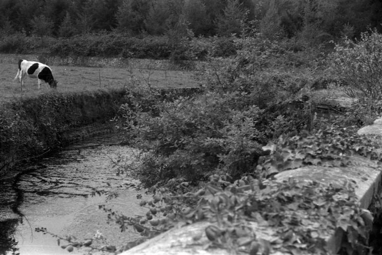 Château, le Plessis (La Couyère)