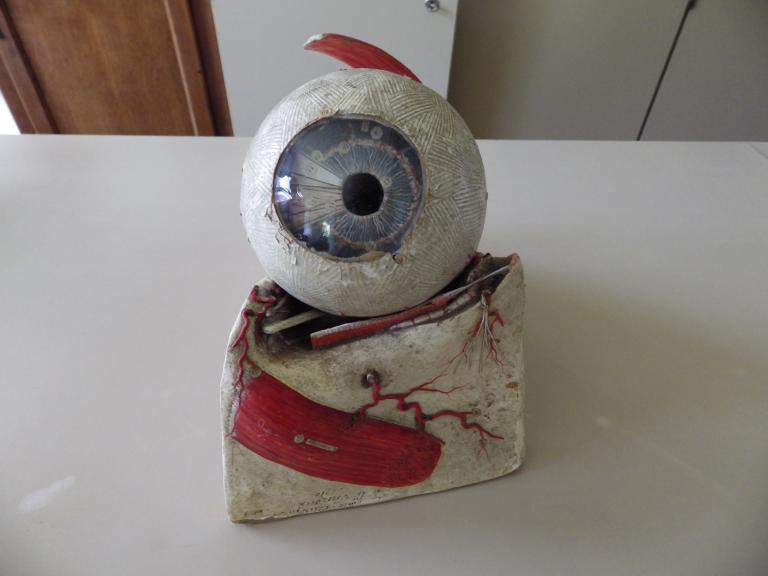 Collections pédagogiques du Lycée Auguste Brizeux, 6 Rue Bourg les Bourgs (Quimper)