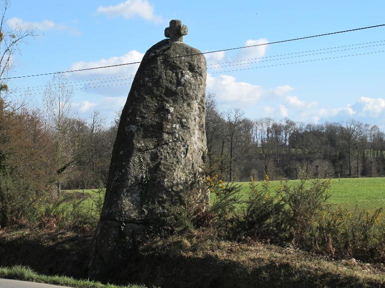 Menhir la Pierre Longue (Noyal-sous-Bazouges)