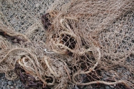 Outil de pêche : chalut à perche