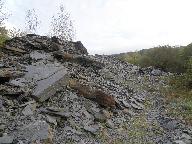 Ardoisière de Stéréon (Pleyben)