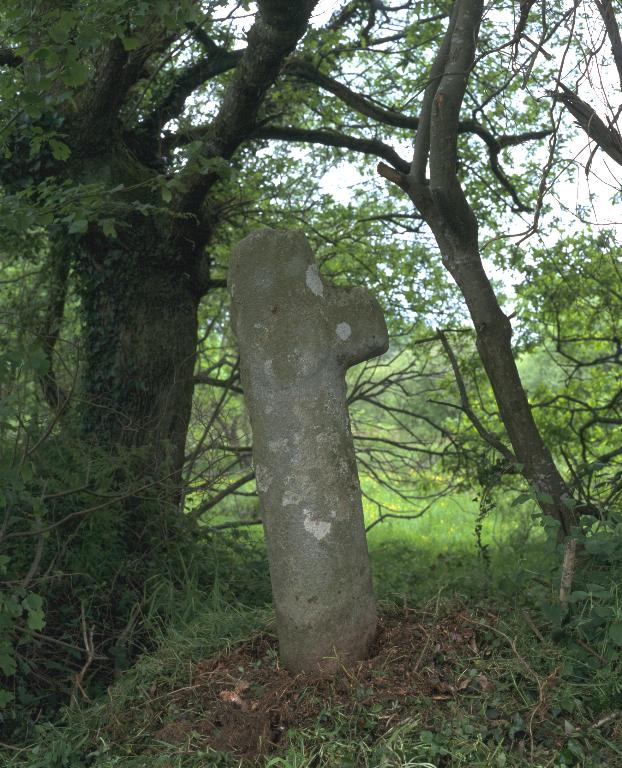 Croix de chemin, près de Menez Guen (Mellionnec)
