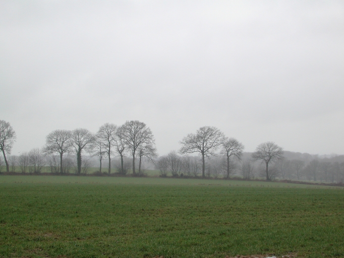 Présentation de la commune d'Argentré-du-Plessis