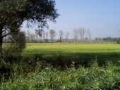 Présentation de la commune de Roz-landrieux