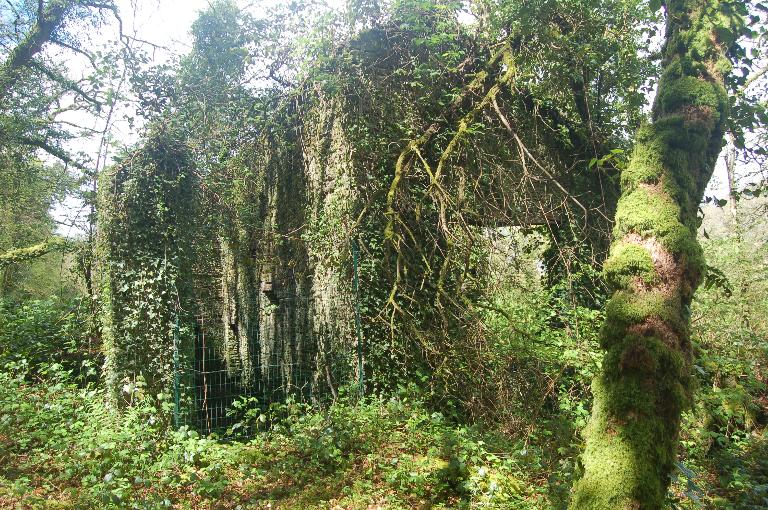 Ardoisière de Coat-Maël (Maël-Carhaix)