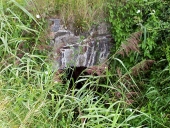 Pont, la Banche (Mont-Dol)