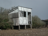 Les cabanes ostréicoles de Kerroc'h (Ploubazlanec)