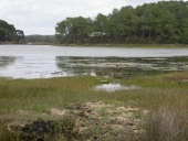 Croix monumentale dite croix de la tombe du soldat, Mané Béniguet (Locoal-Mendon)