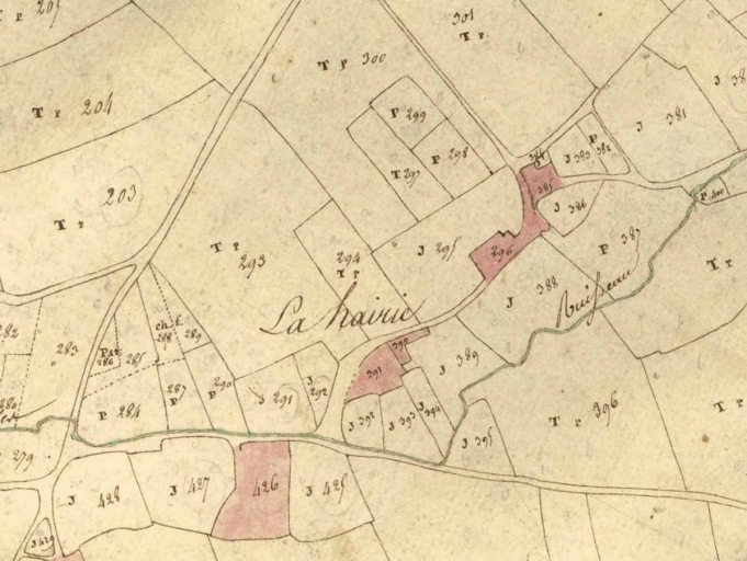 Écart, la Hairie (Domalain)