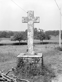 Croix de chemin, le Bot (Saint-Nicolas-du-Tertre)