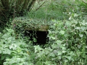 Fontaine, Guernivinic (Ploumilliau)