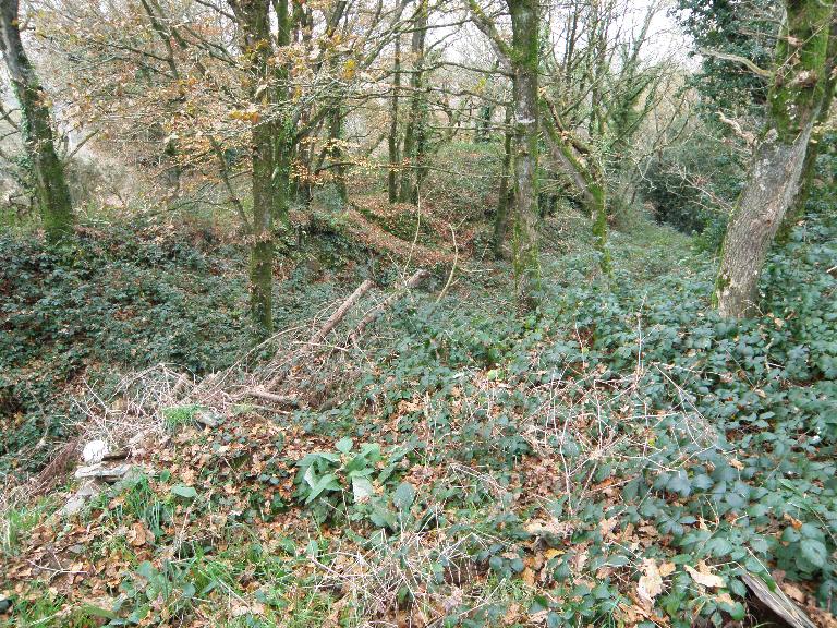 Ardoisière de Lescoat (Motreff)