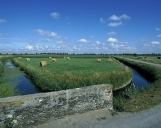 Pont dit du Rosais (La Fresnais)