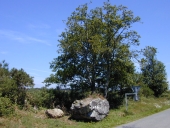 Mégalithe dit la "Pierre Droite" (Maxent)