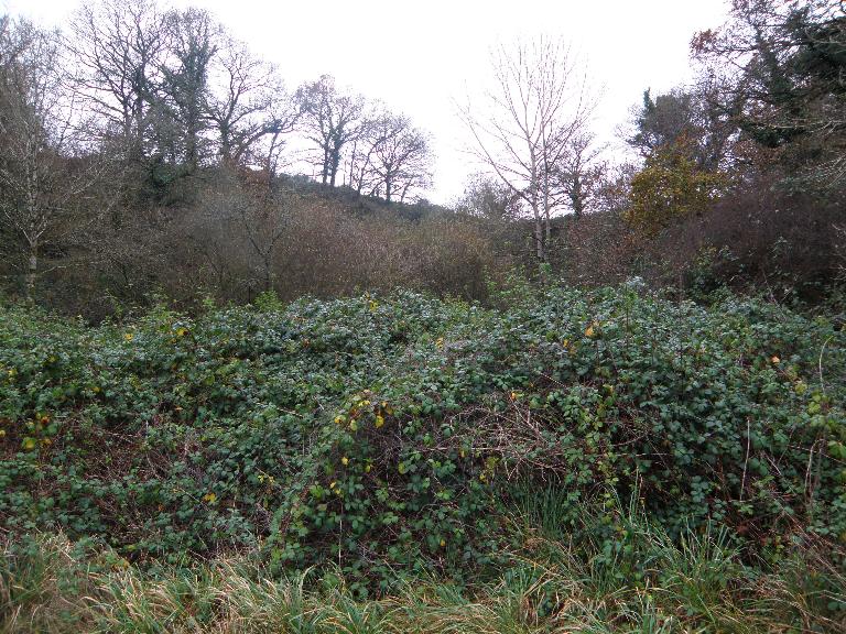 Ardoisière de Tréveller (Motreff)