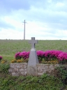 Croix de chemin, croix dite Sainte-Suzanne (Saint-Coulomb)