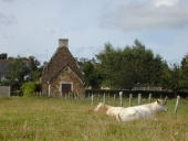 Maison, rue de la Rabinais (Le Minihic-sur-Rance)