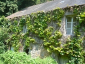 Moulin à farine dit moulin neuf (Canihuel)