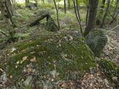 Allée couverte de Trélan, les Landes du Pissot (Saint-Marcel)