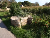 Puits, Roc'h-Cus (île de Bréhat)