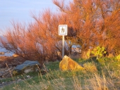 Les sentiers littoraux (Plougrescant)