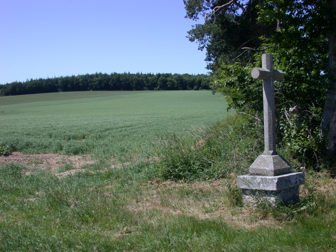 Croix de chemin (Hémonstoir)