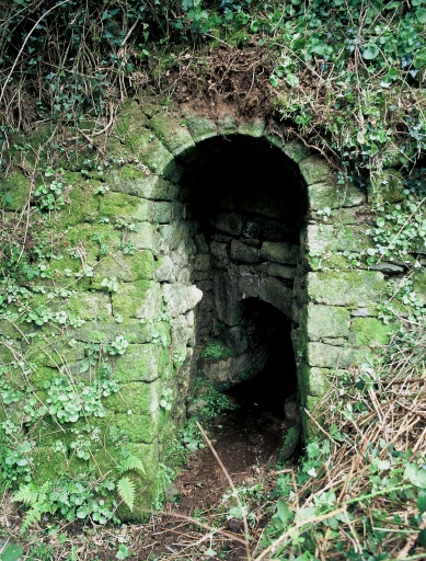 Fontaine, Gueltas (Pluméliau fusionnée en Pluméliau-Bieuzy en 2019)