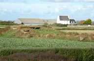 Bunker - poste de direction de tir, Les Rospects (Plougonvelin)
