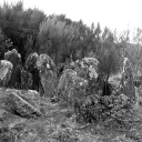 Mégalithe, dit Tombeau des Druides, puis l'Hotié ou la maison de Vivianne, près de la Touche Guérin (Paimpont)