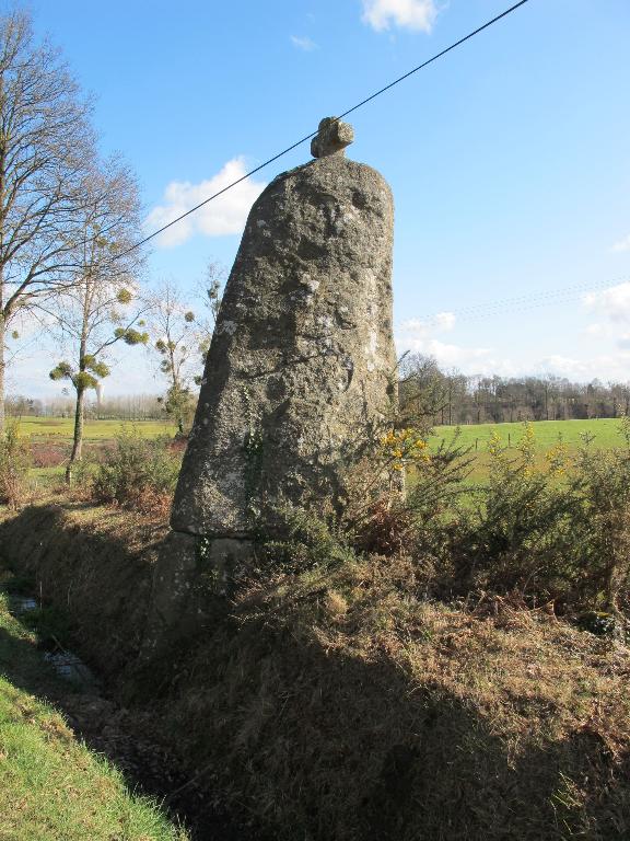 Menhir la Pierre Longue (Noyal-sous-Bazouges)