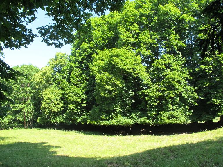 Jardin d'agrément du Château de Castellan (Saint-Martin-sur-Oust)