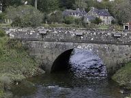 Pont, D. 770 (Hôpital-Camfrout)