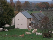 Ferme, actuellement maison, 42 le Breil-Monbusson (Le Verger)