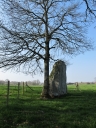 Menhir, la Baudouinais (Livré-sur-Changeon)