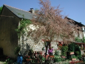 Ferme, la Gicquelais (Saint-Gonlay)