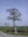 Croix de chemin, Mongerheux (Domalain)