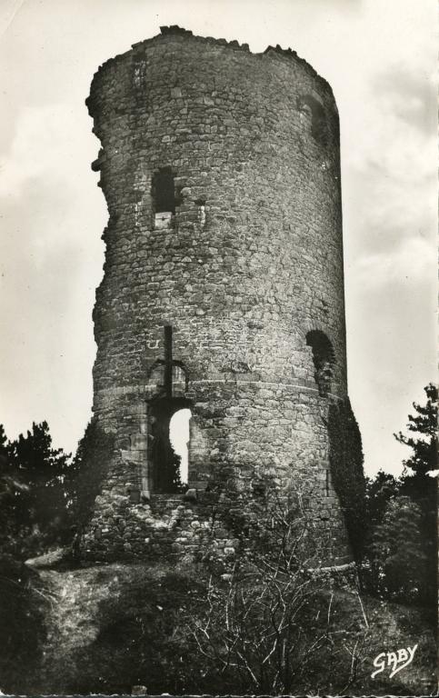 Tour de Cesson, Domaine de la Tour de Cesson, rue de la Tour (Saint-Brieuc)