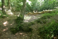 Routoirs à lin de Coat-Ermit (Plourivo)