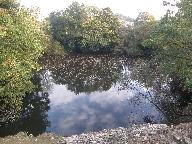 Ardoisière de Rospéron (Pleyben)